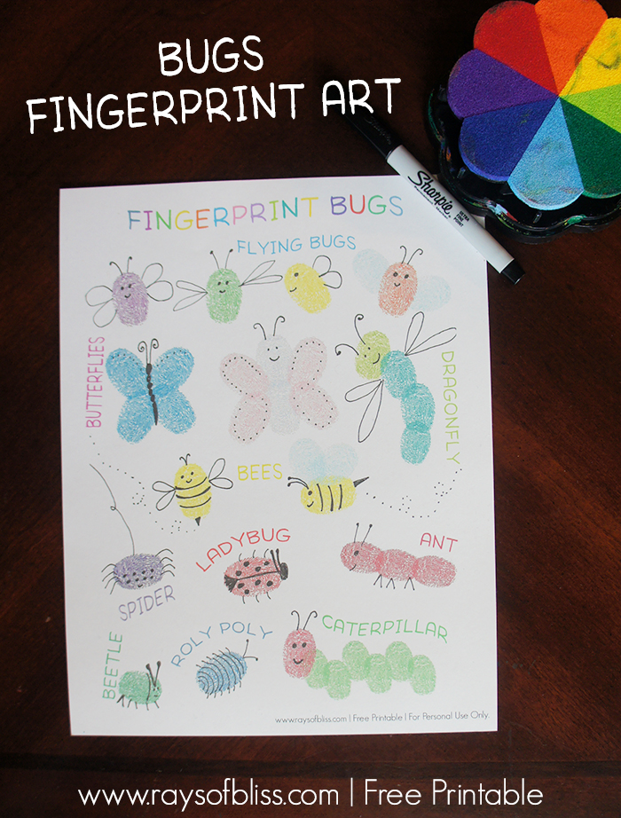 fingerprint drawing
