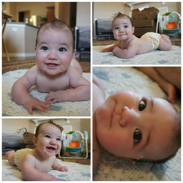 Wordless Wednesday with Linky ~ 4 month old Cutie! - Rays of Bliss